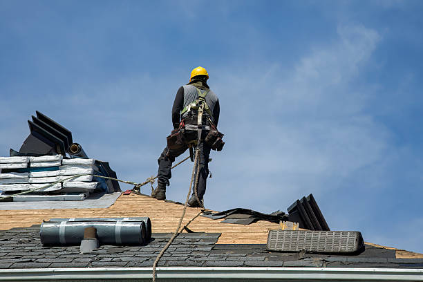 Professional Storm Damage Roof Repair technician working in Lewiston, MN